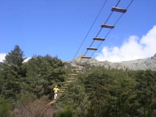  Circuito di arrampicata sugli alberi 